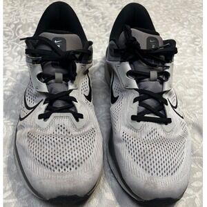 Nike Winflo 11 Mens Running Shoes Wolf Grey Black Size 15